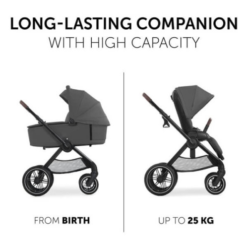 Универсальная коляска 2 в 1 Hauck Walk N Care Air Dark Grey